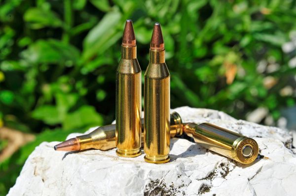 243 Winchester Ammunition