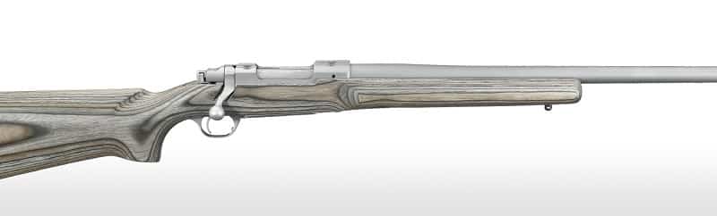 Best Varmint Rifles 22 250